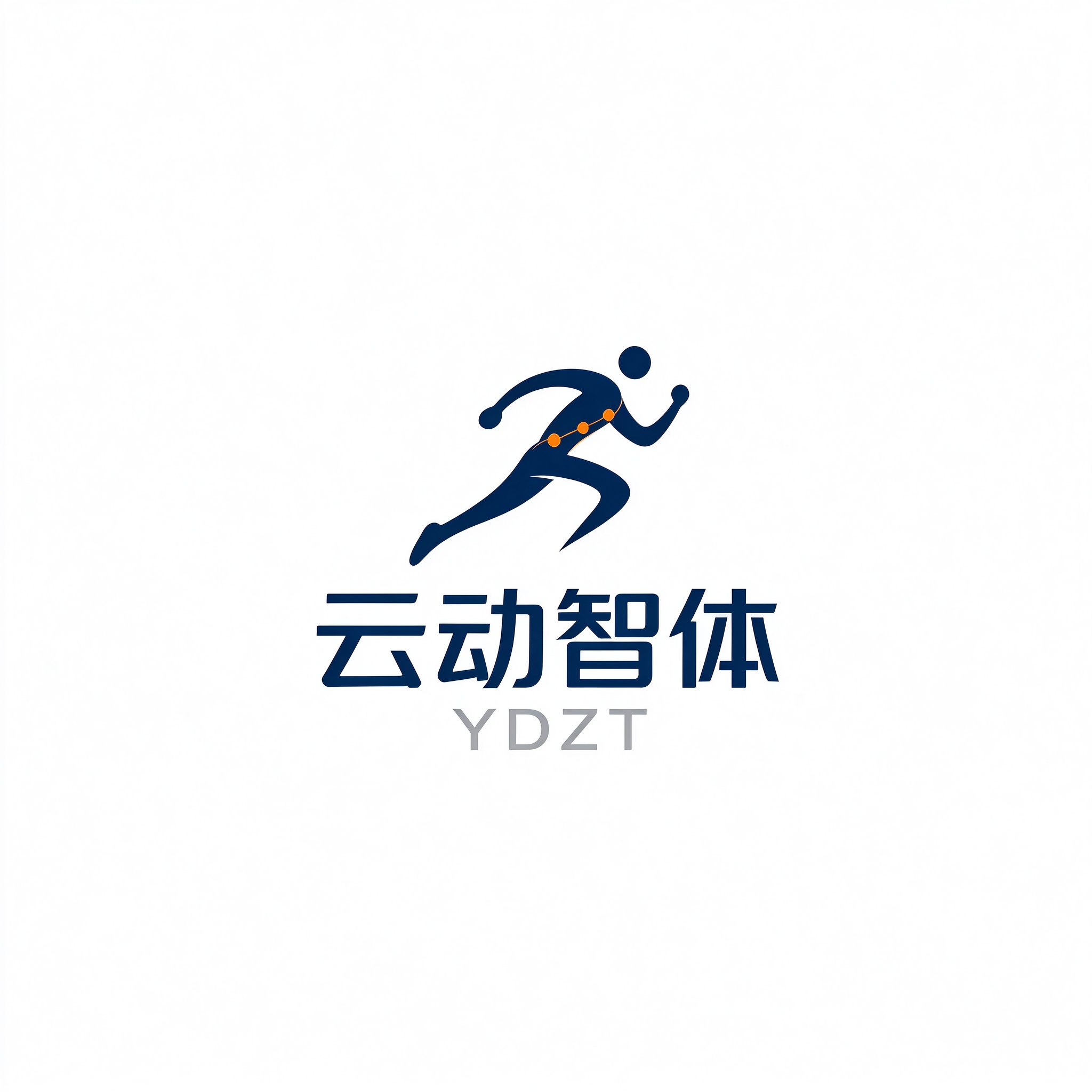 海南云动智体体育产业有限公司